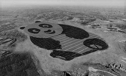 China solar panda