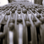 TLS China Tomatoes 3