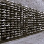 TLS US Sneakers