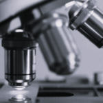 TLS Australia Biotech BW
