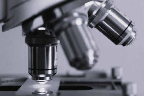 TLS Australia Biotech BW