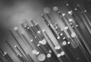 TLS China Fiber Optic Cable BW