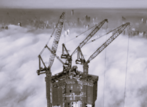 TLS China Cranes 3 BW
