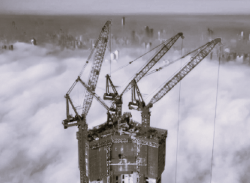 TLS China Cranes 3 BW
