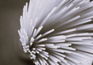 TLS Pasta 9 BW