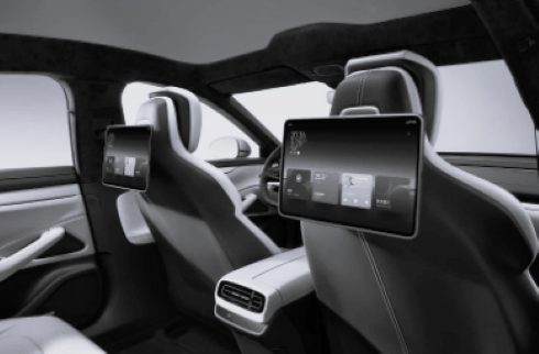 TLS China Auto Electronics 5 BW