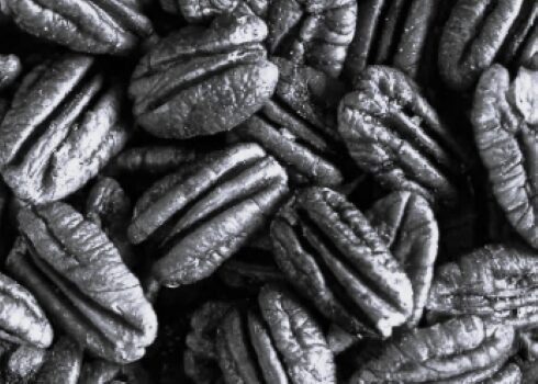 TLS China Nuts 3 BW