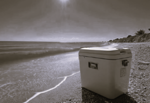 TLS USA Ice Cooler 2 BW