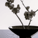 TLS Flowers BW