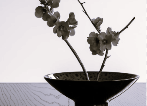 TLS Flowers BW