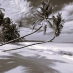 TLS Online Travel 3 BW