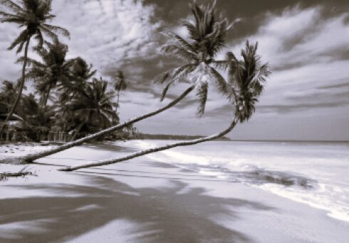 TLS Online Travel 3 BW