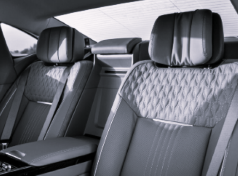 TLS China Auto Trim BW