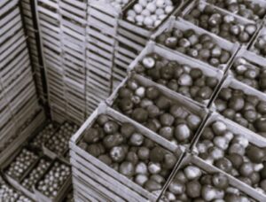 TLS Austalia Logistics 2 BW