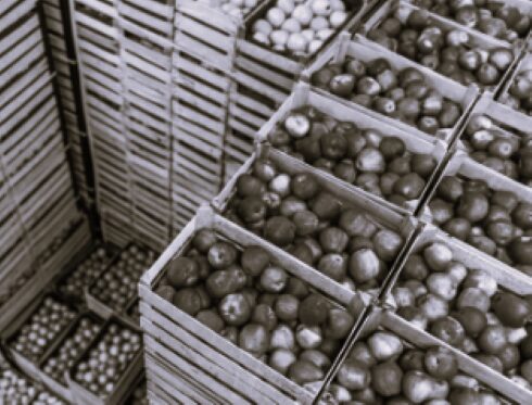 TLS Austalia Logistics 2 BW