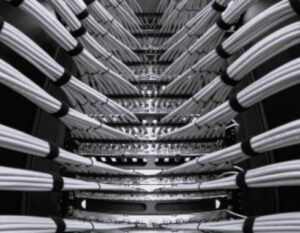 TLS German IT Services 5 BW