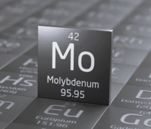 TLS Canada Molybdenum 5 BW