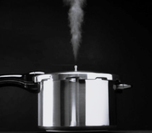 TLS India Pressure Cooker 4 BW