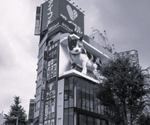TLS Japan Advertising 6 BW