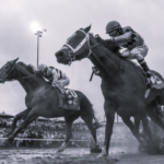 TLS USA Sports Venues 5 BW