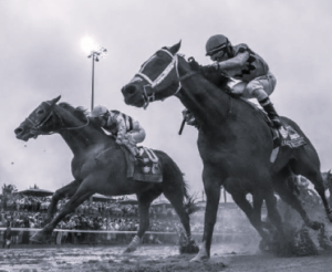 TLS USA Sports Venues 5 BW