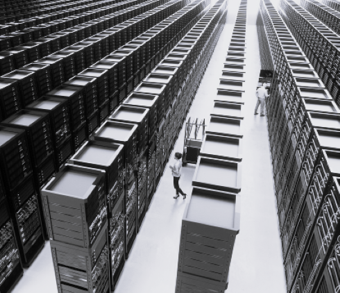 TLS Japan IT Services BW